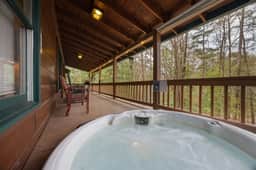 1BR - Moose Lodge - Image 4
